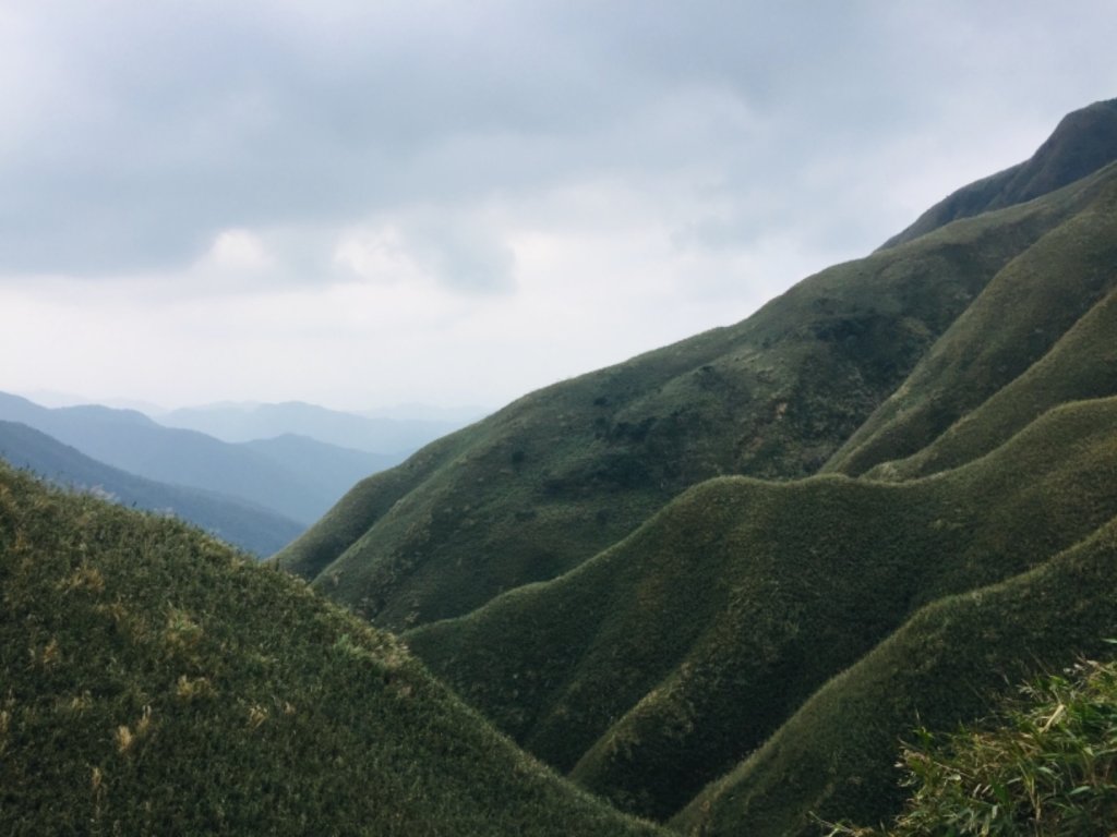 抹茶山上有草莓_447944