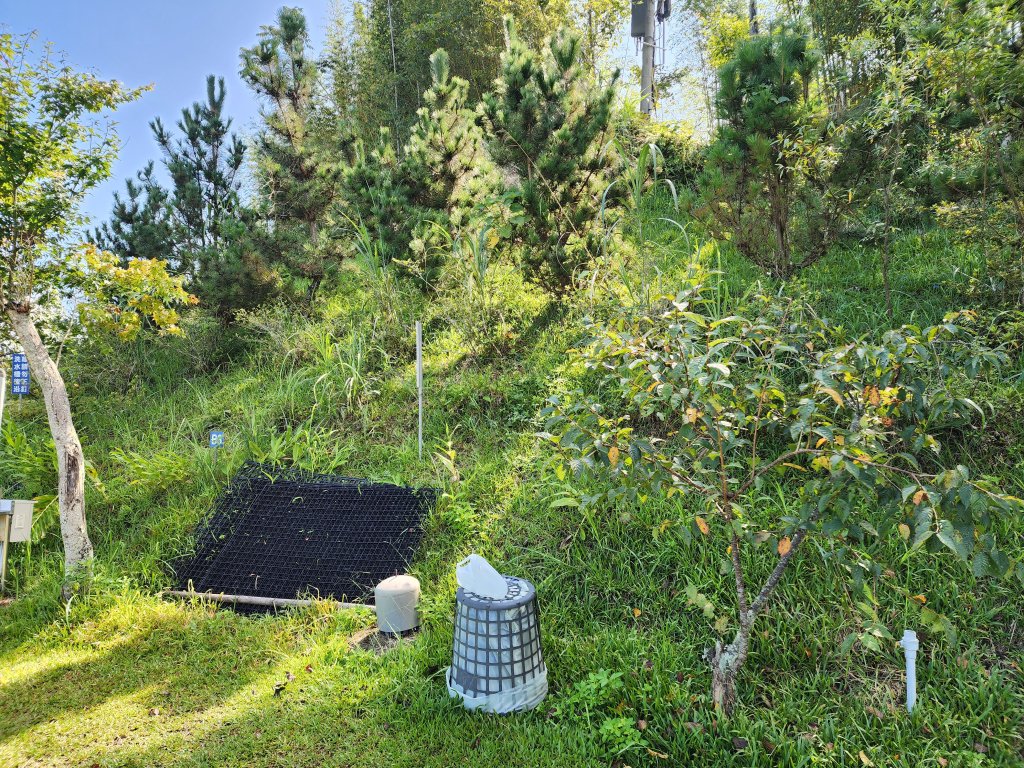 20240804鬼澤山、梅山、梅后蔓瀑布_2613413