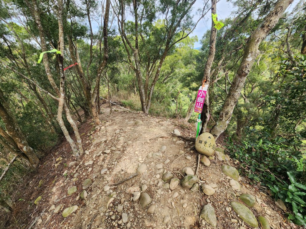 20250223田中大小劍與橫山_2939848