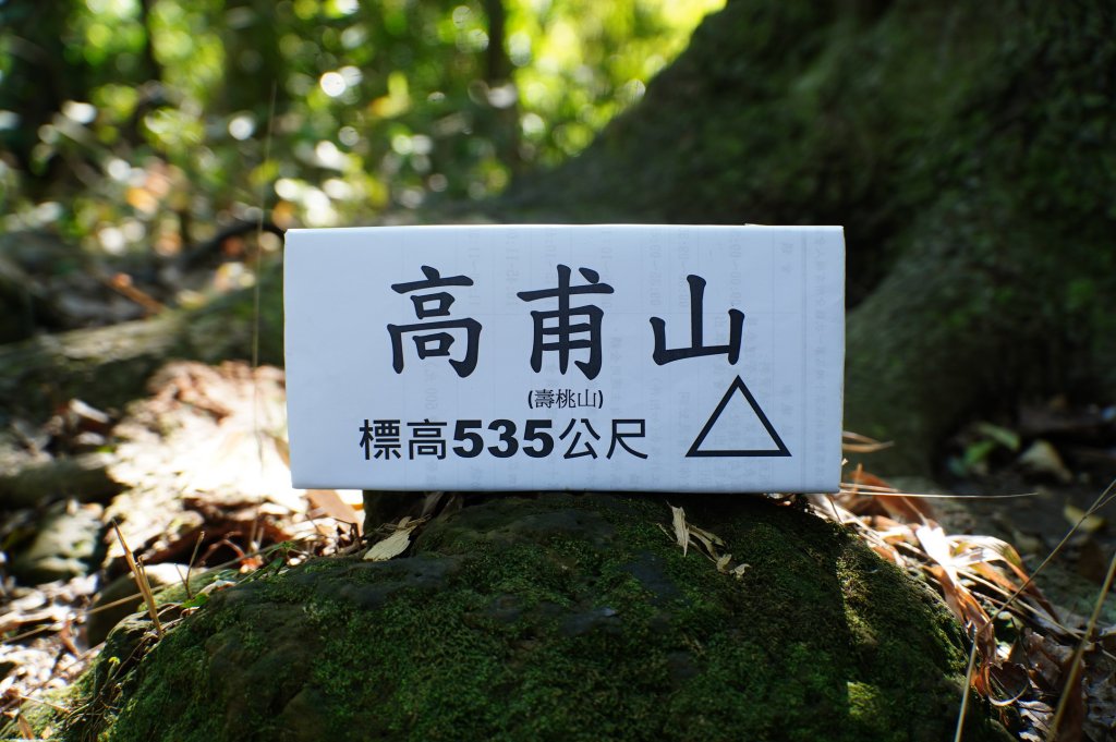 新竹 關西 福大山、彩和山、高甫山封面圖