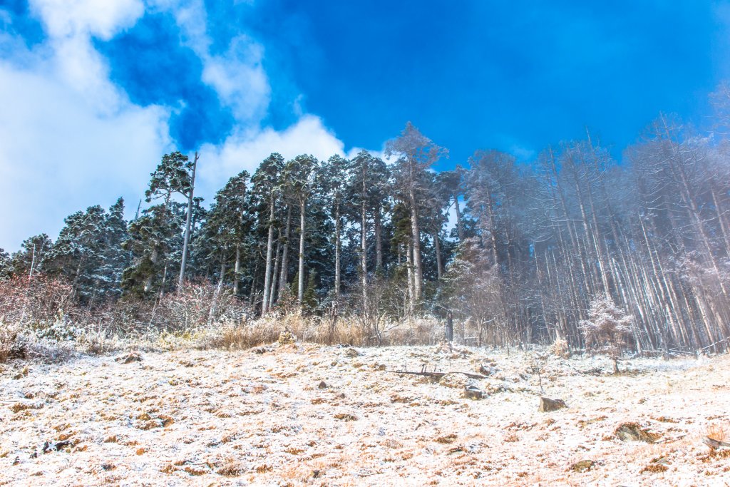 雪山冬之美_826778