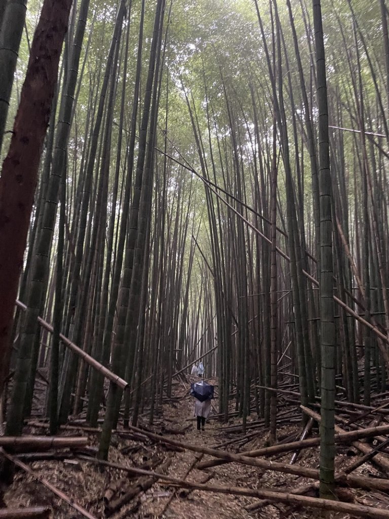 民都有山_2877345