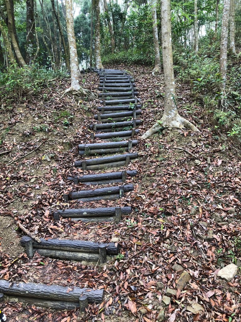 2020.04.12六義山_917926