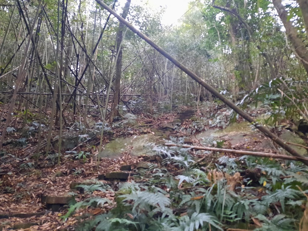 騰龍山 橫龍山北峰 橫龍山 O型_1205343