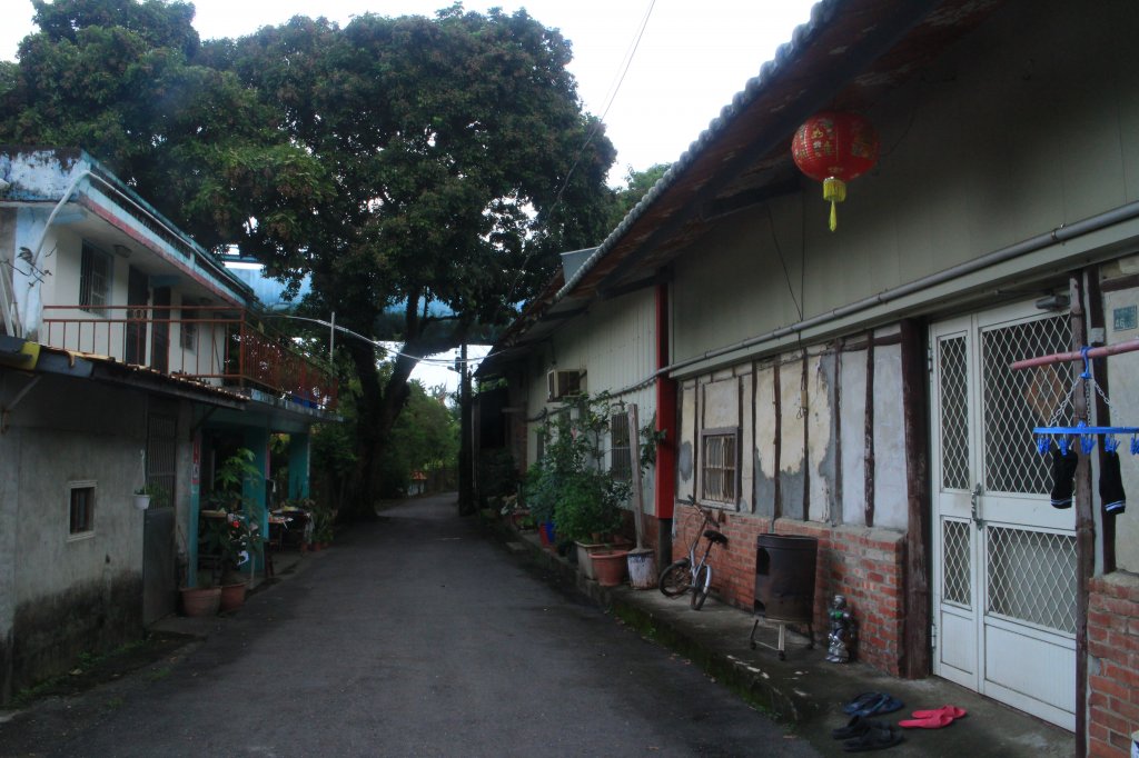 雲林．林內龍過脈森林步道2023/07/22_2237656