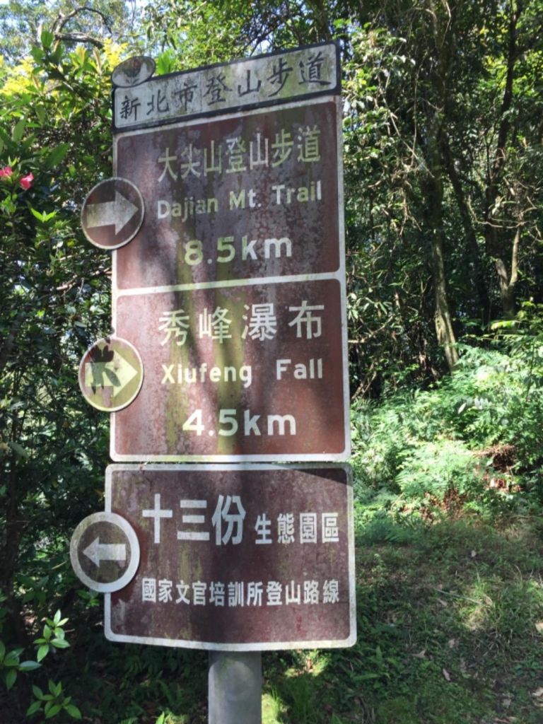 汐止大尖山（大針山）_294604