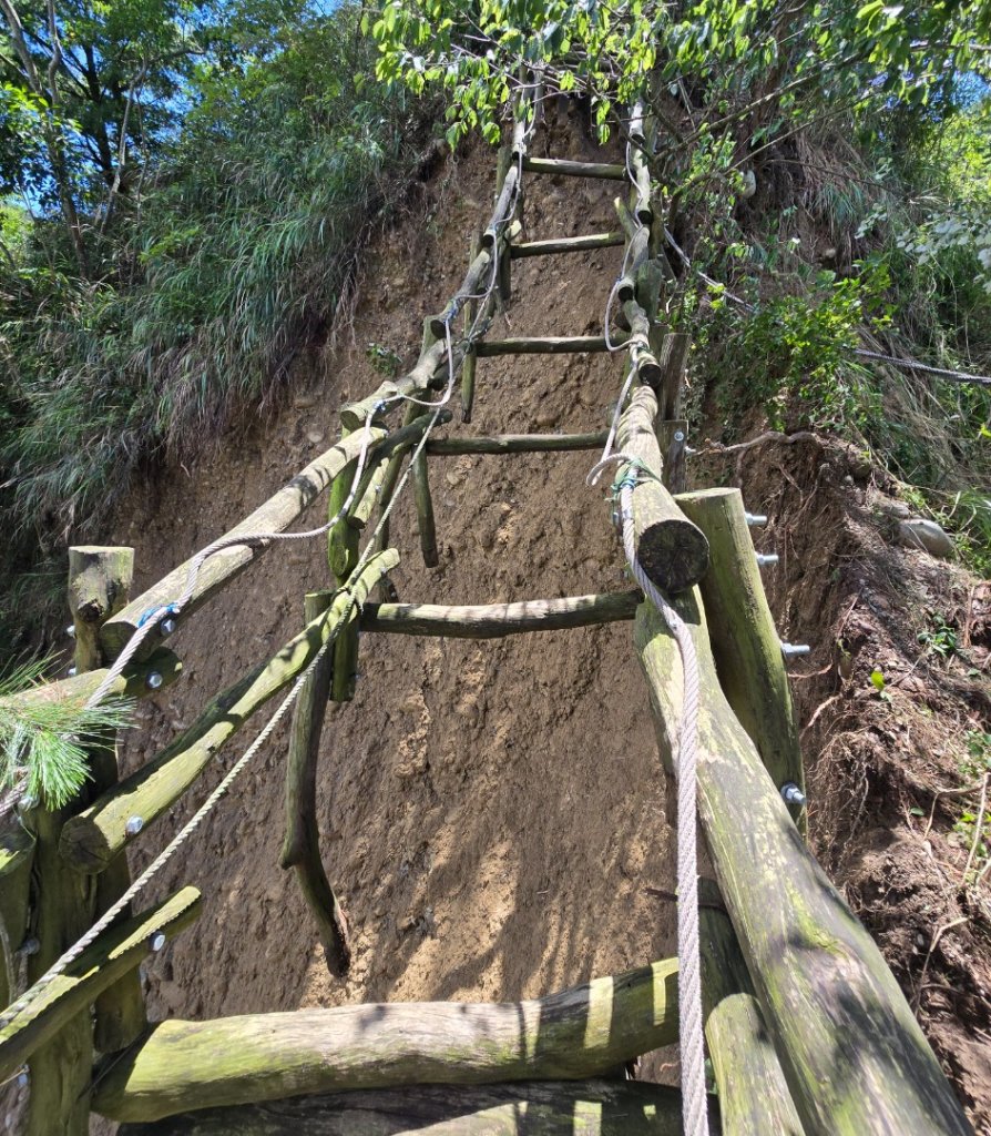 台中大坑四號登山步道（毀損）封面圖