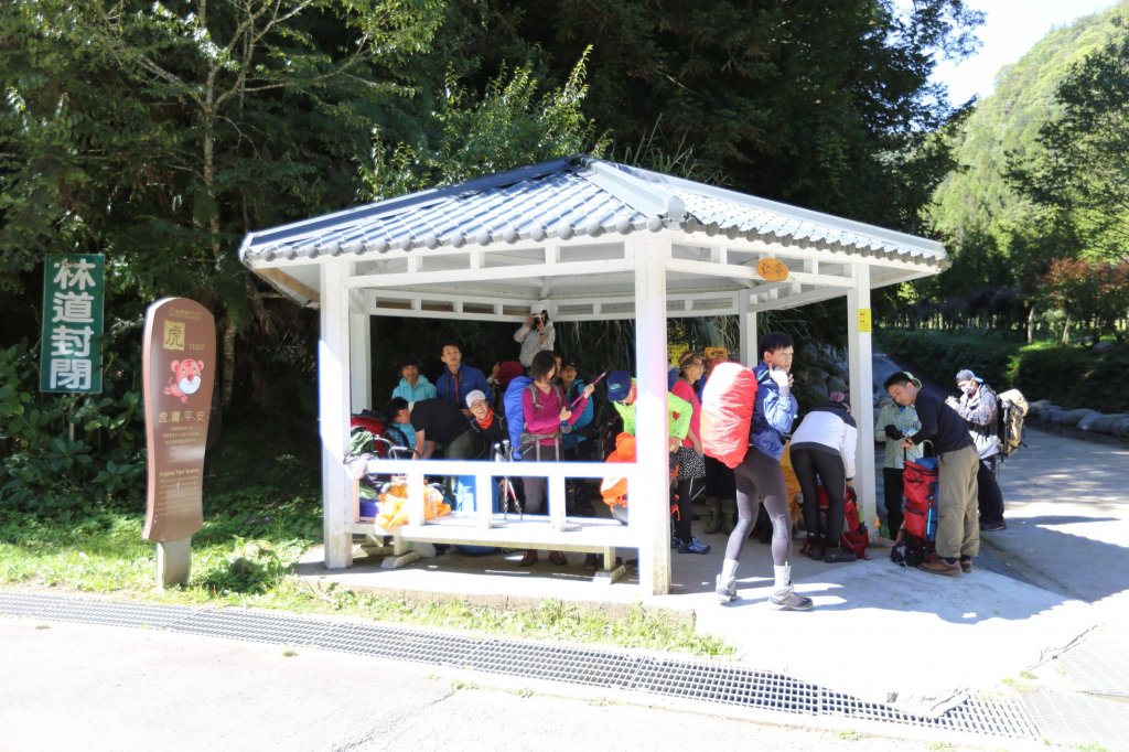 水樣森林 第一次在山裡過夜_659264