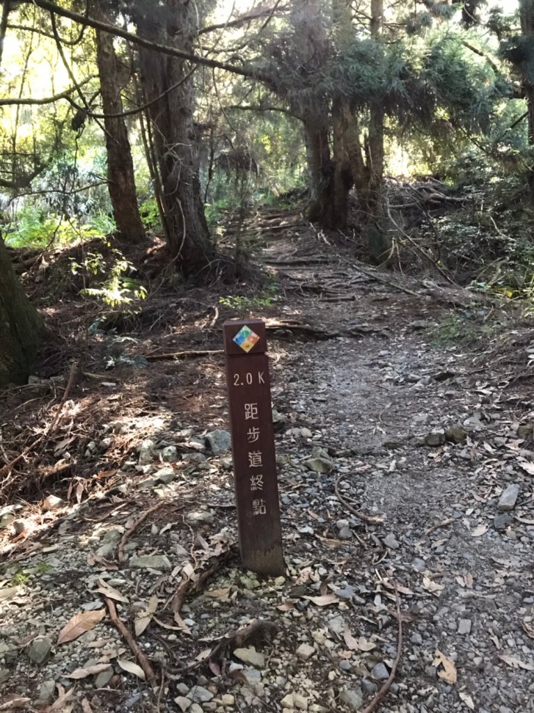 谷關七雄  老二  馬崙山  郊遊_1469058