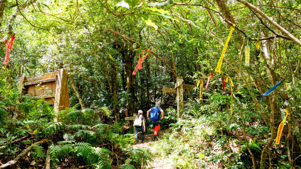 李棟山莊_2882508