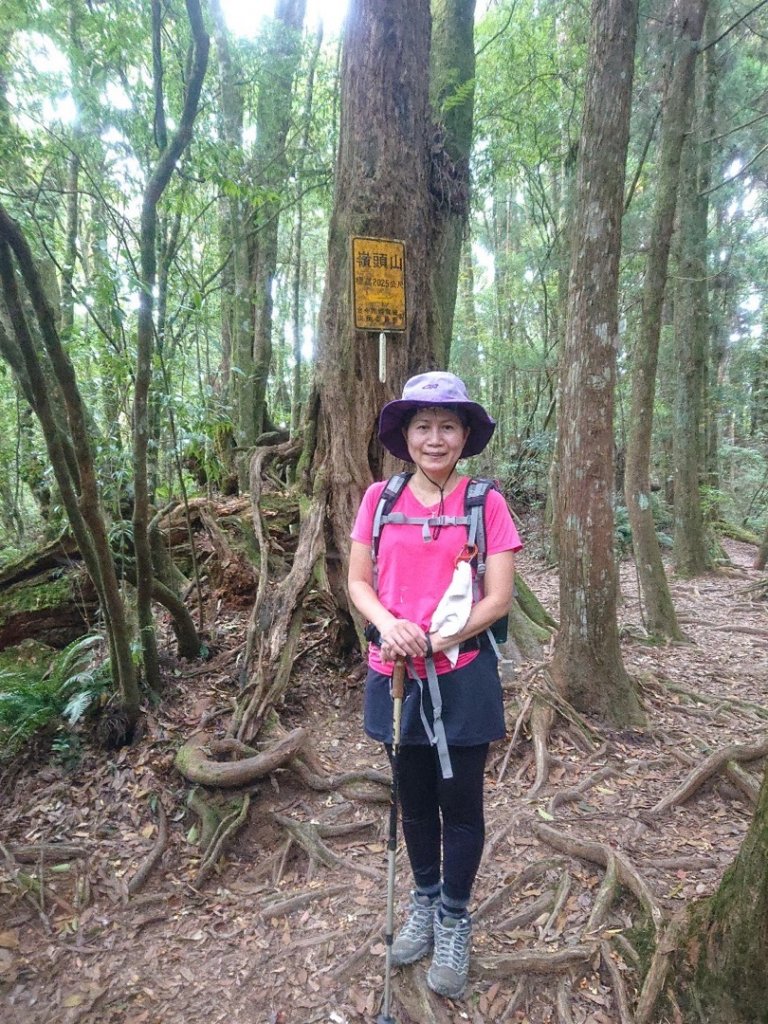 貓空望山、嶺頭山、金柑樹山（小百岳）、忘憂森林_1896936