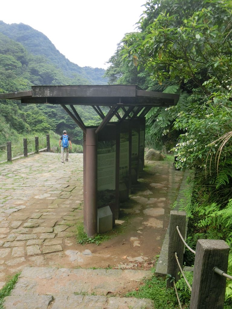 擎天崗．魚路古道．日人路_331975