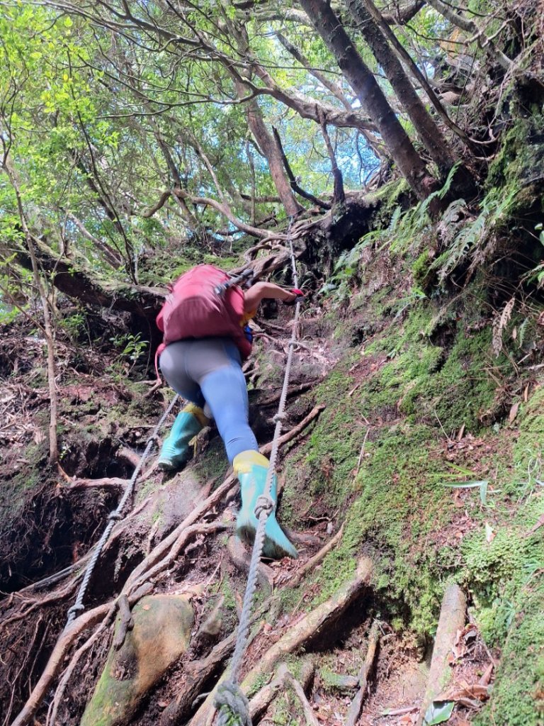 嘎色鬧上那結山_2575546