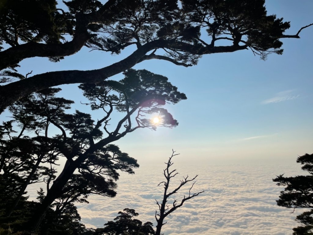 見證最美麗北大武山雲海、鐵杉_1318919