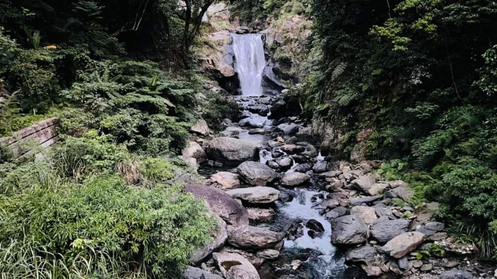 1101009內洞森林遊樂區_1484854