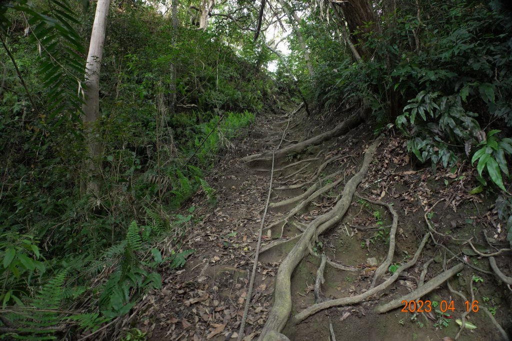 新竹 關西 石牛山_2115919