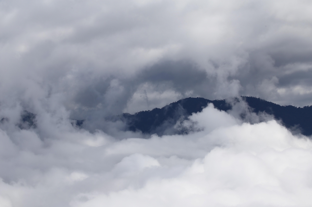 山岳之美--觀霧森林遊樂區_5924