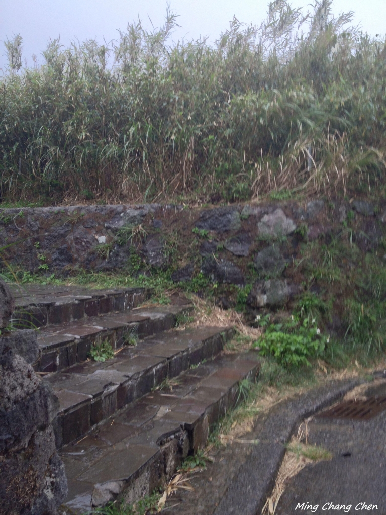 【山岳之美】~七星山_5561