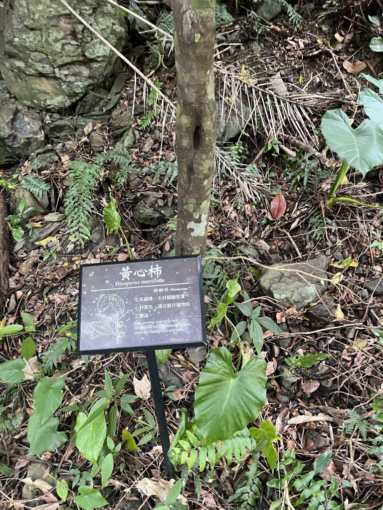 [屏步青雲 尋寶任務-03/10] 2024_0917 雙流國家森林遊樂區（瀑布步道）_2597702