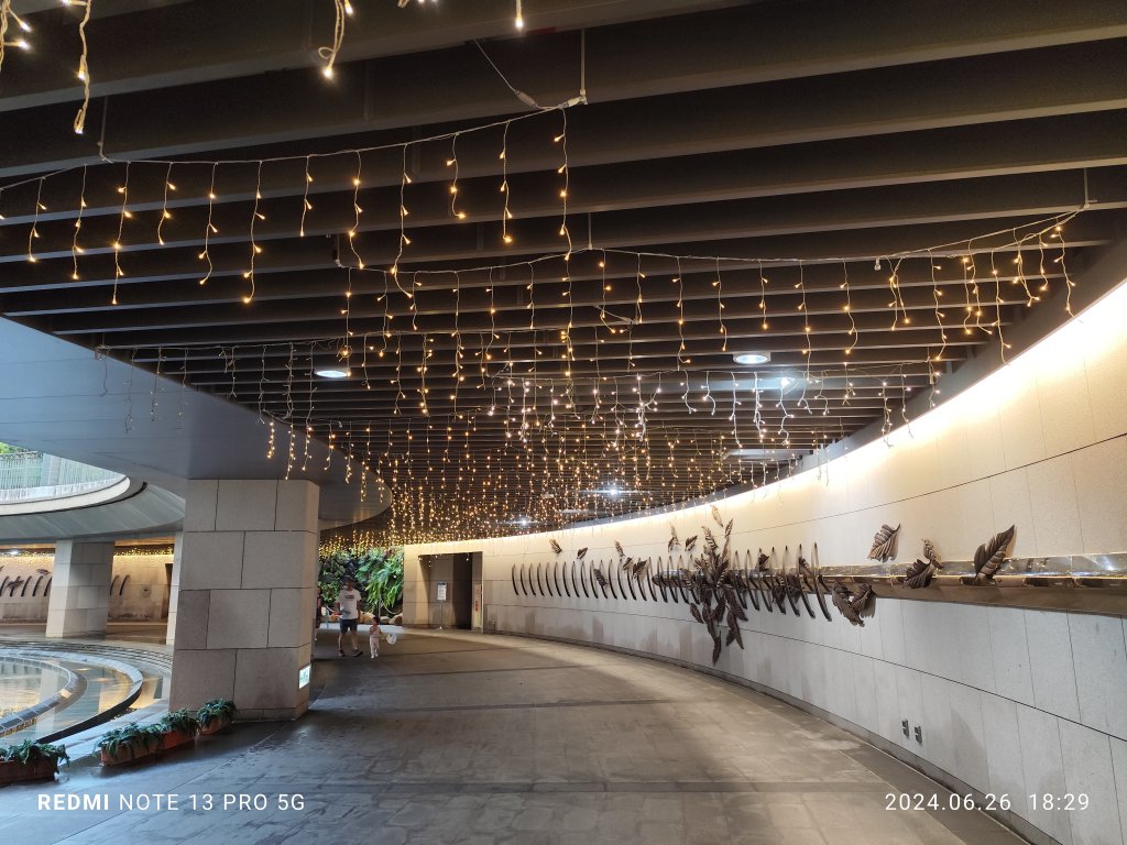 大安森林公園、寧夏夜市、士林夜市【走路趣尋寶】【臺北健走趣】_2536370