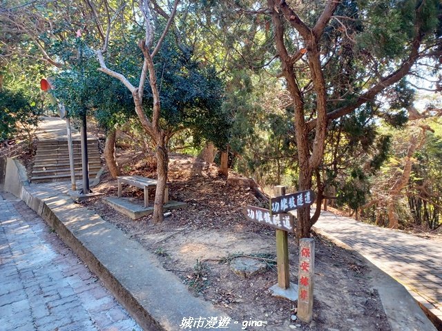 【苗栗】貓貍山公園功維敘隧道_2981662