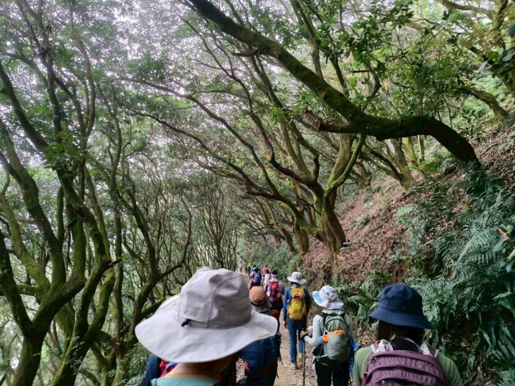 🌈12/14(日)南部最佳百岳練習場~小百岳-尾寮山✨FB：熊熊趴爬走🌈_2961702