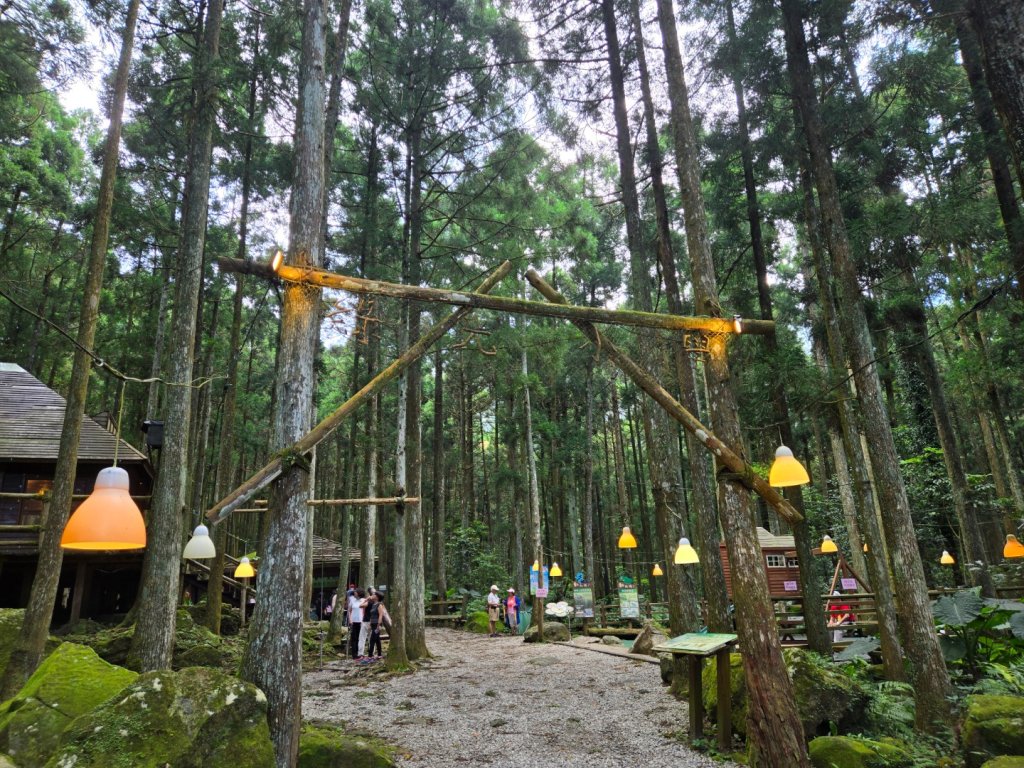 馬武督探索森林、外鳥嘴山_2860597