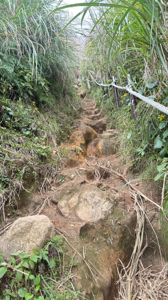 大屯山五連峰含面天山_2934603