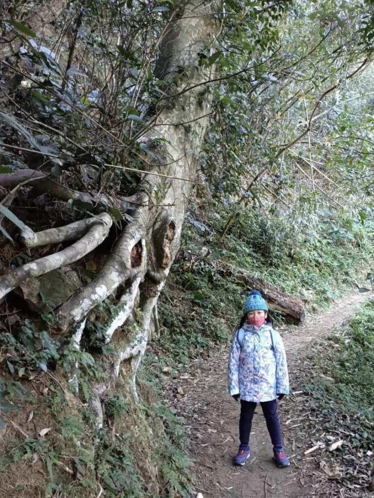 20221218苗栗鳴鳳古道_2113499