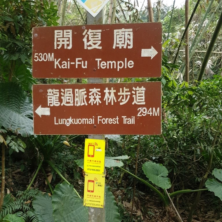 步道巡訪員│龍過脈步道3月巡訪日誌_872324