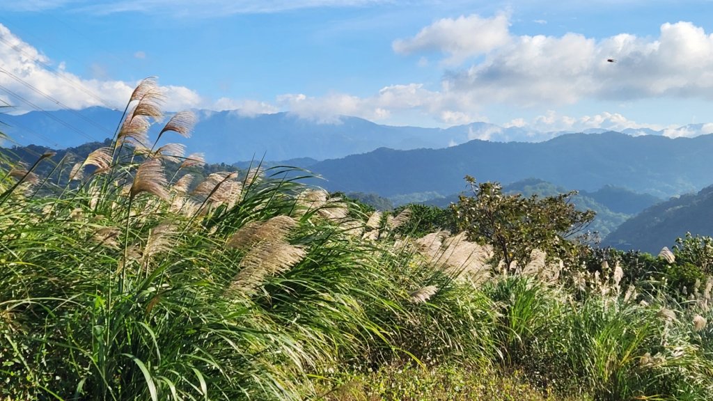 油羅山，石光古道，溪洲山，新溪洲山，頭寮山，頭寮大池，大艽芎古道，總督府古道_1891537