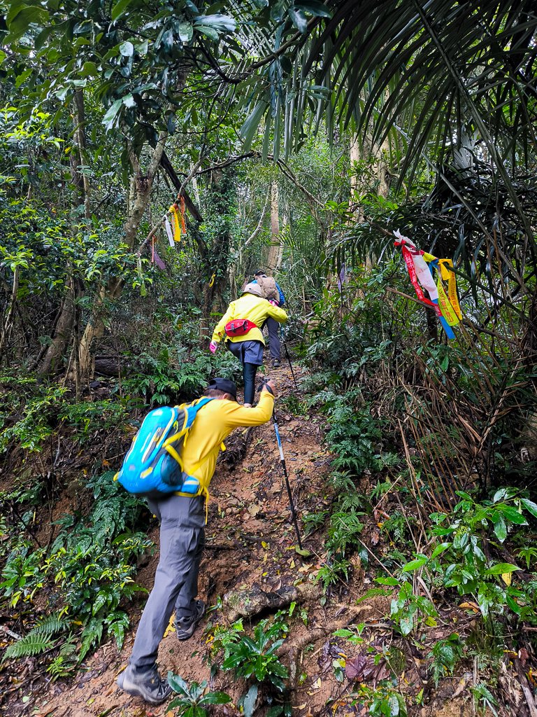 2025-03-08 汶水三山：金童山、汶水山、玉女山 連走_2736507