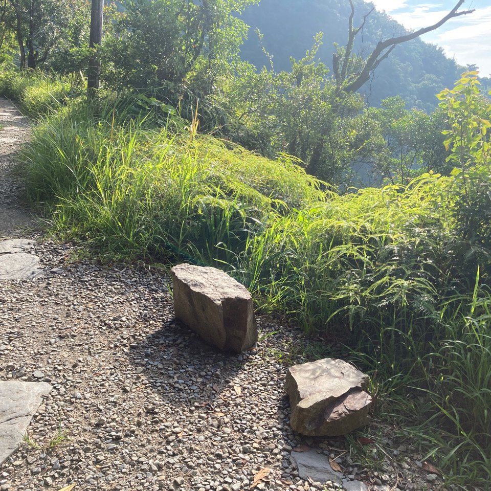 步道巡訪員 l 跑馬古道 第7巡大型設施_1022577