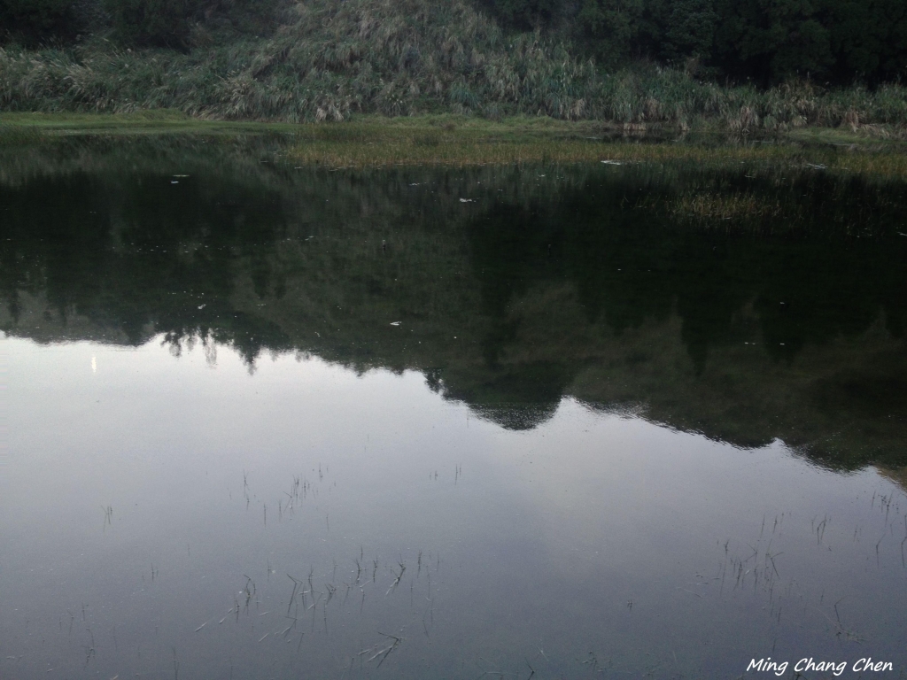 【山岳之美】~大屯主→七星主→ 七星東→夢幻湖→擎天崗_5680