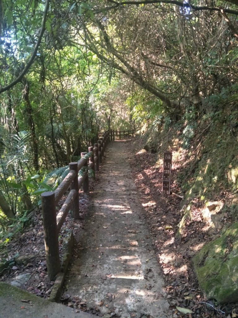 暖東峽谷步道_1812079