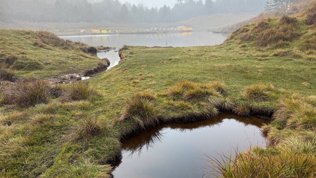 穿羅紗的「加羅湖」_2943928