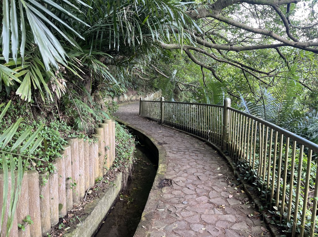 2024_1020 貴子坑親山步道封面圖