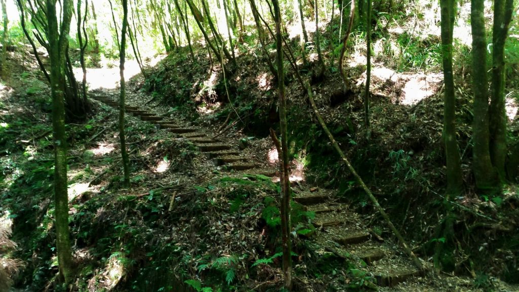 谷關七雄~馬崙山_292057