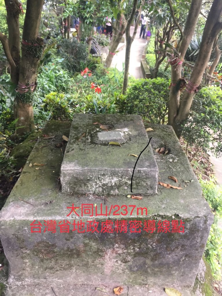 大同山青龍嶺大棟山連走_561640