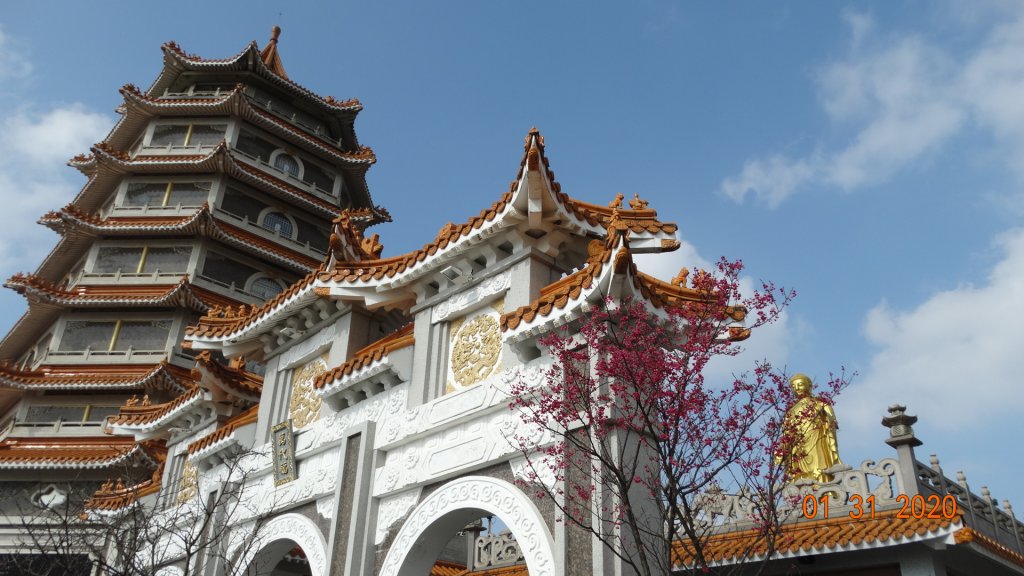 追花是簡單的快樂，賞花是恬淡的幸福3_819083