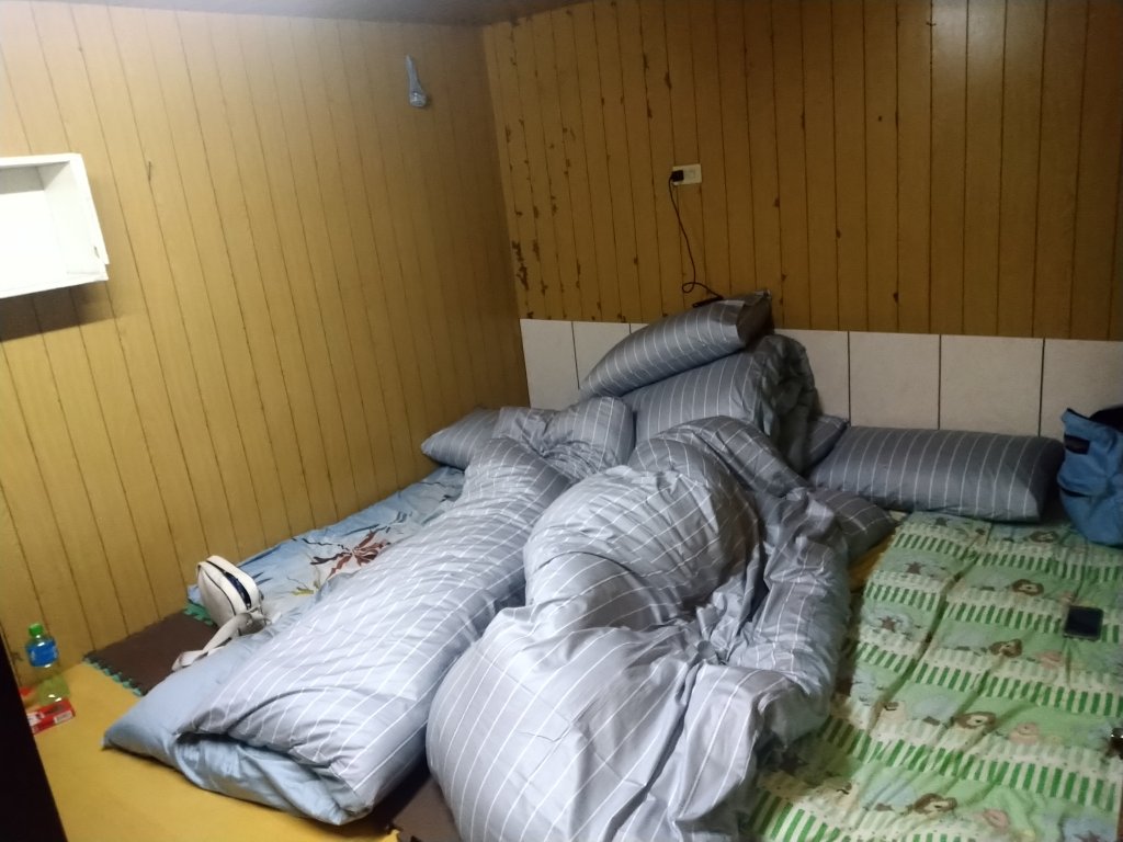 武陵國家森林遊樂區-梨山_1194448