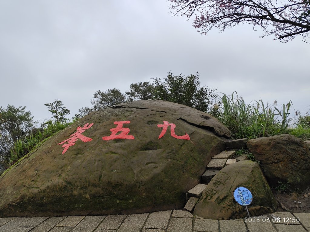 【臺北大縱走6】中華科大步道→九五峰→南港山→糶米古道→軍功山→中埔山→福州山公園→富陽自然生態公園封面圖