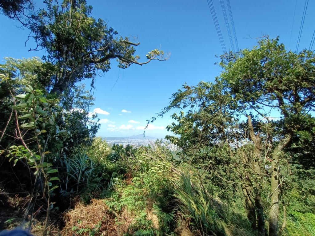 天上山到新店_1485894