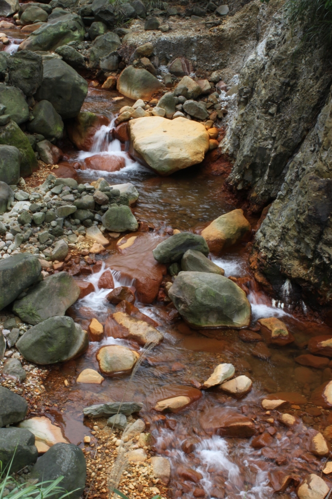 20160502台灣台北陽明山金包里步道公開_90699
