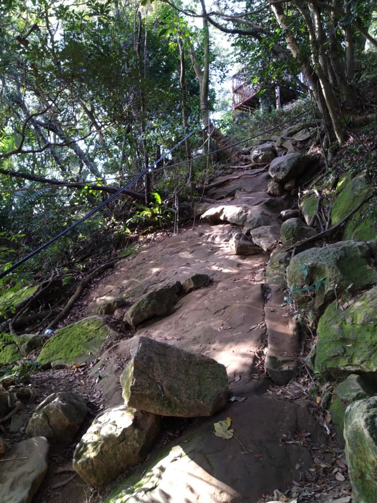 第二次-一天完成五個尋寶任務_1921801