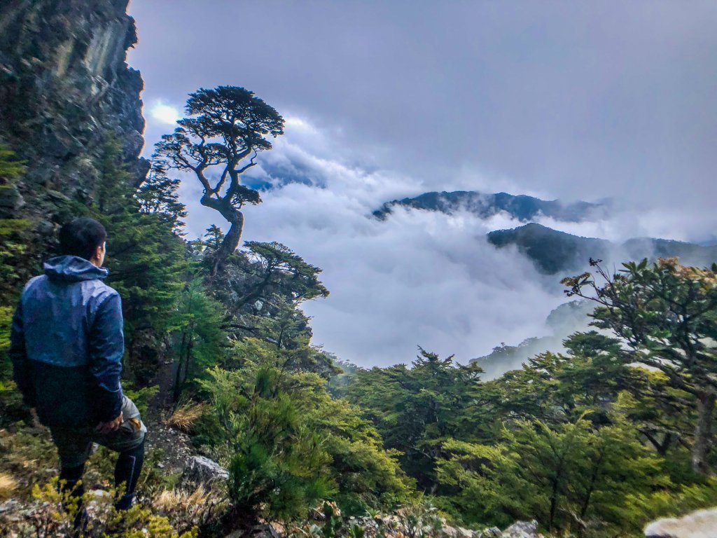 武陵二秀~品田山+池有山封面圖