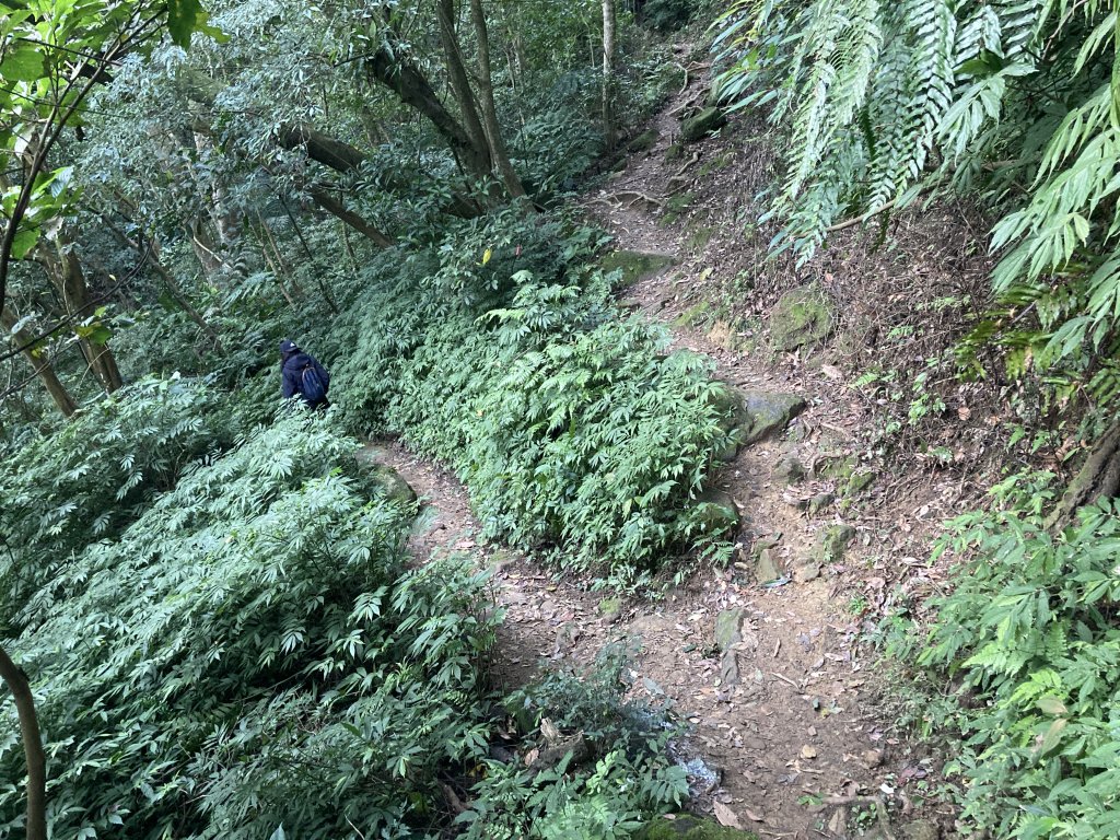 二格山_2449800