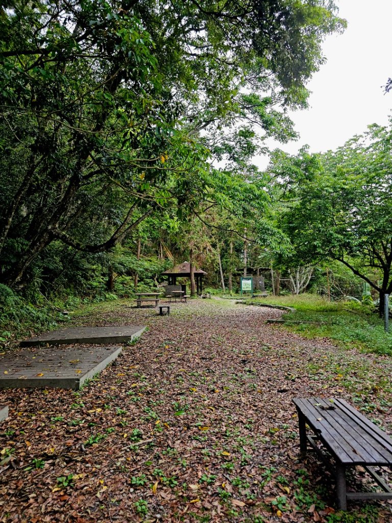 瓦拉米步道(登山口至佳心段)-(花蓮)臺灣百大必訪步道_2789430