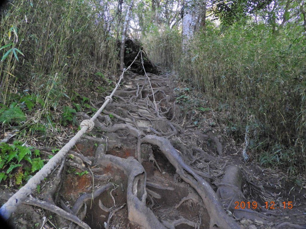 苗栗 南庄 加里山_779921