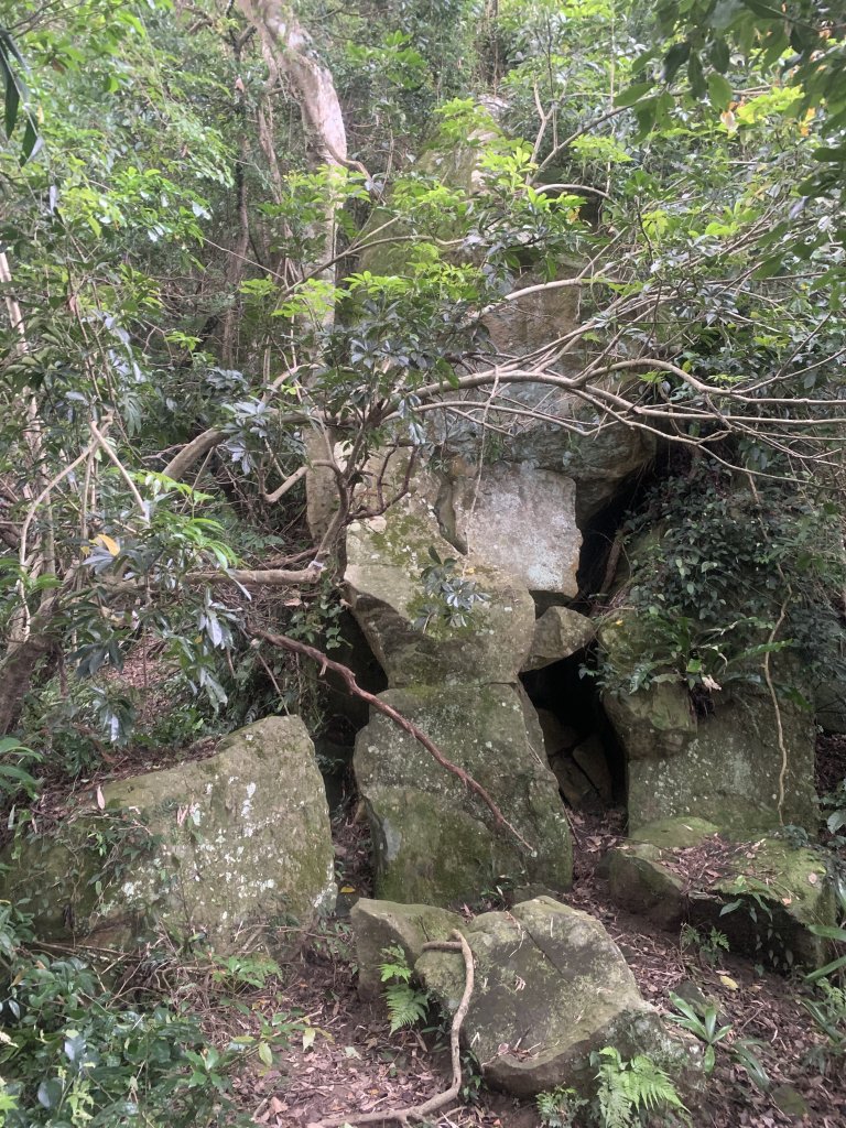 20260721金面山封面圖